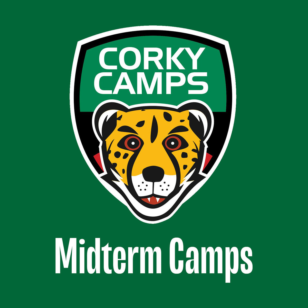 2026 October Midterm Camp: Drinagh Rangers