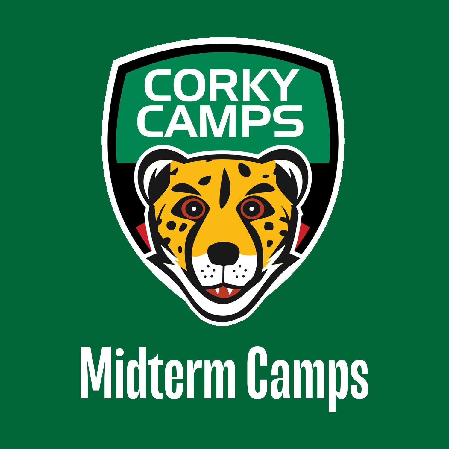 2025 October Midterm Corky Camp: Virgin Media Park