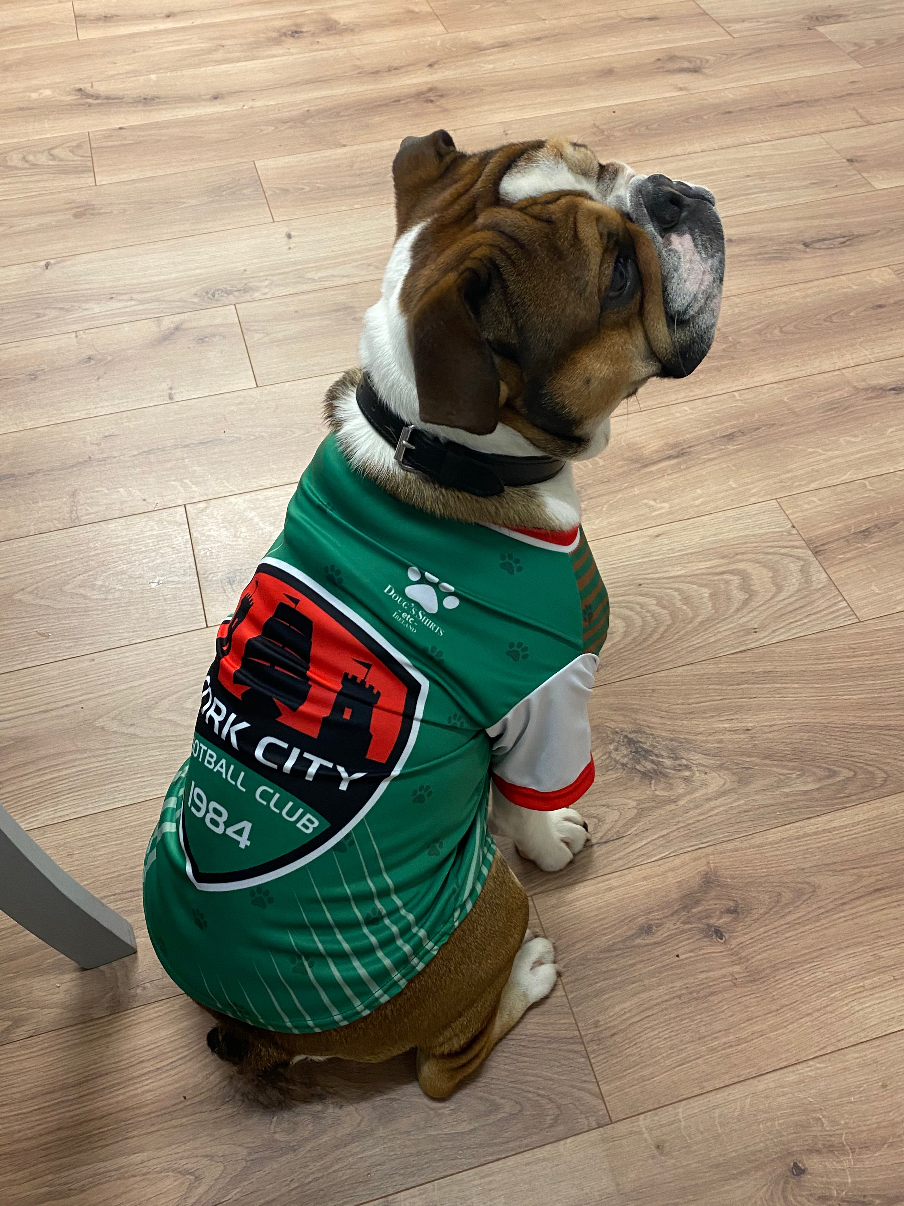 Cork City Dog Jersey